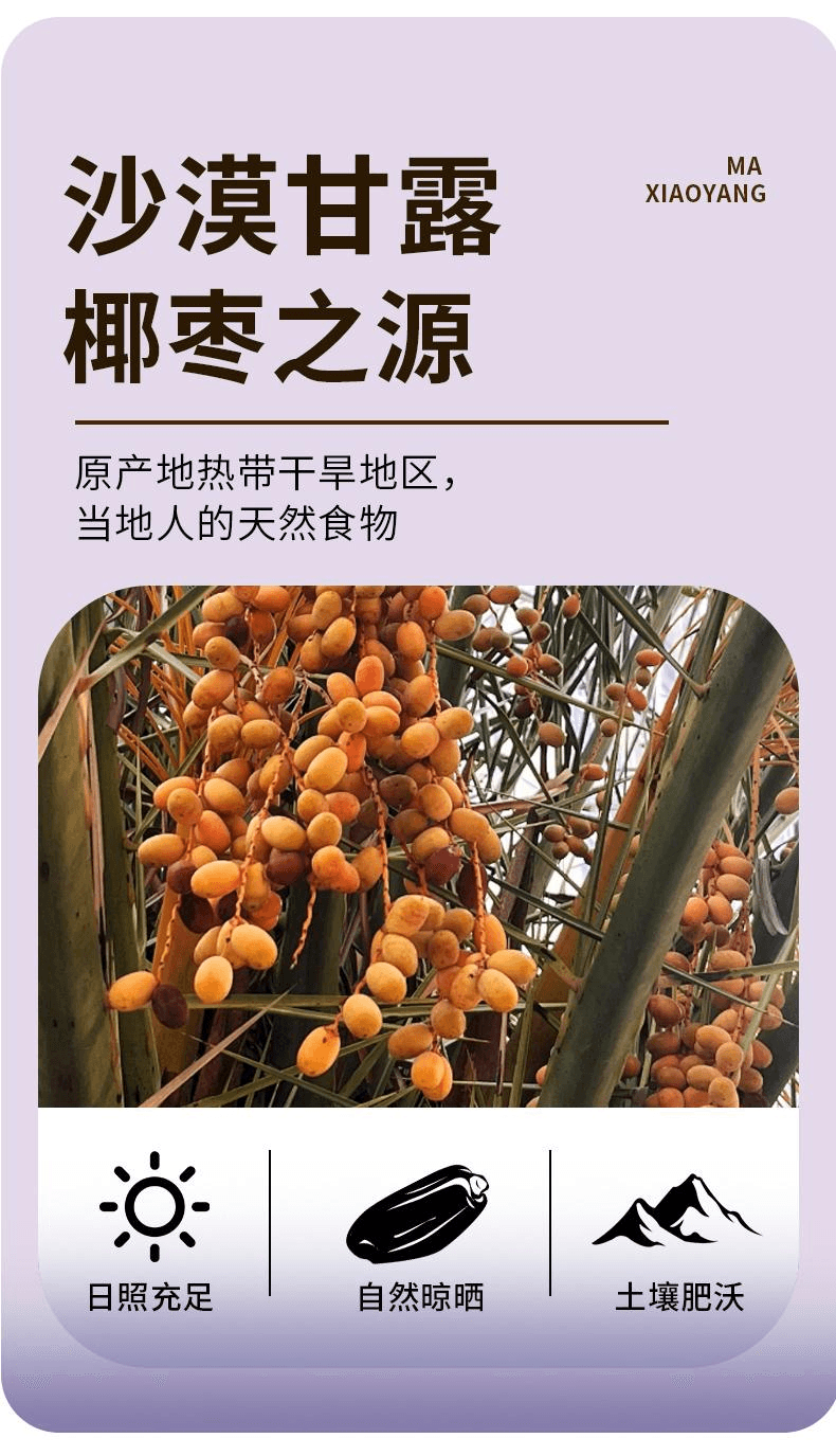 【中國直郵】 馬小養 新疆特產軟糯香甜免洗大果乾果脯零食精選新疆黑椰棗100g*1袋