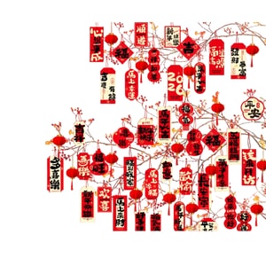 HSPM 午年 中国の旧正月飾り お祝いの盆栽吊り飾り 家庭やお店の壁掛け飾り 「福」文字提灯 縁起の良い午年吊り下げカード (30 個) + 植毛提灯 40 個 (セット)