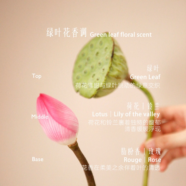 {Fuqiu} Lotus Blossom Fragrance: Classic-Style Solid Perfume Bar—Emerging from the mud yet remaining unstained, with an elegant scent [Includes Fuqiu + Petal-Shaped Scent Scoop] 10g 6