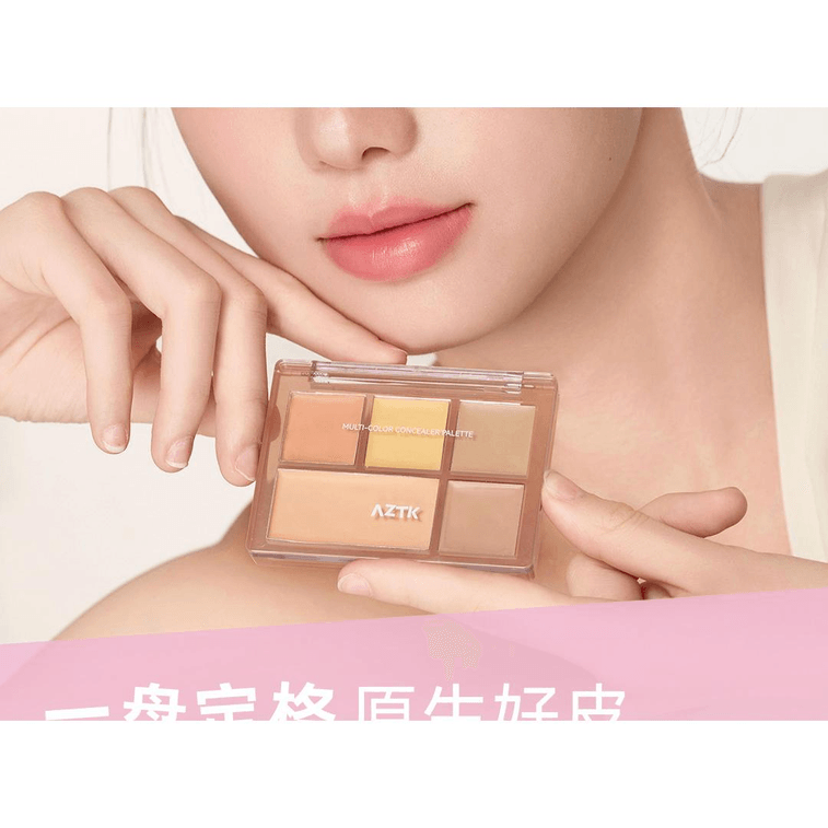 【中國直郵】 AZTK 多色遮瑕膏盤01*1個 3