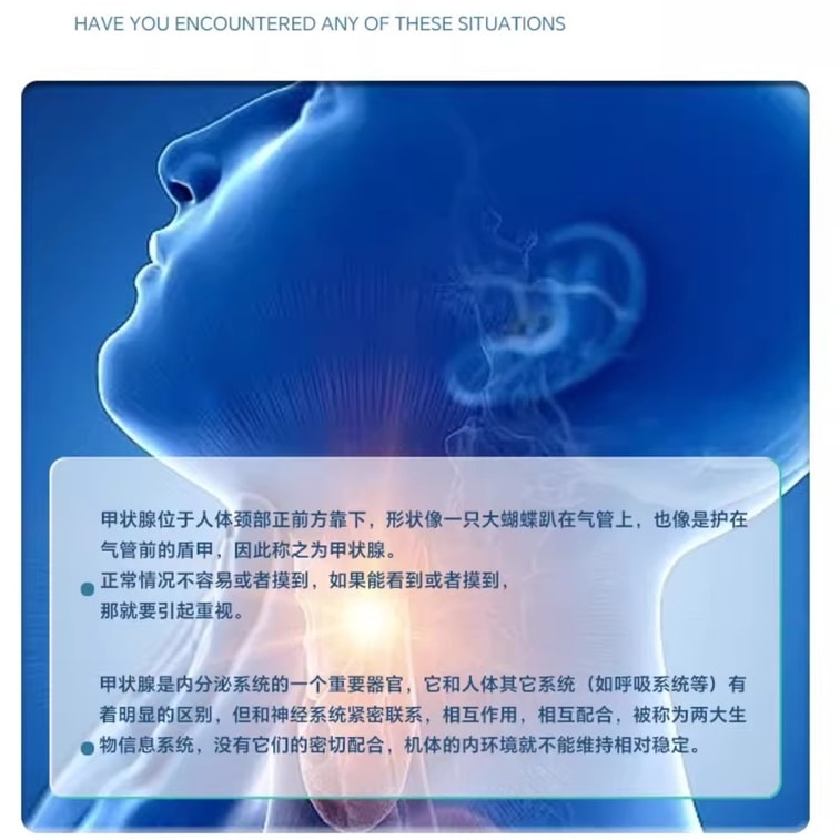 【中國直郵】 mythsky 甲腺寶貓爪草膠囊60粒/瓶 呵護脖子甲腺健康男女正品 3