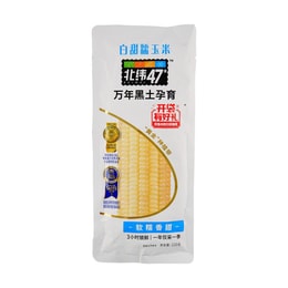 White Sweet Glutinous Fresh Corn, 1 piece, 7.76 oz【Yami Exclusive】