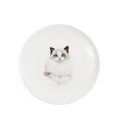 Petorama陶瓷宠物肖像中间印花6“圆形餐盘-布偶