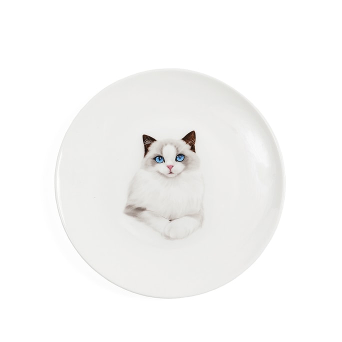  Pet Portrait Porcelain Middle Print 6” Plate - Ragdoll