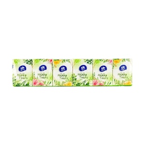 Green Edition Pocket Tissues Soft & Portable, 12 Pack