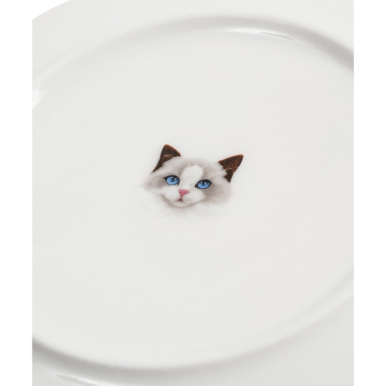  Pet Portrait Porcelain Middle Print 6” Plate - Ragdoll 3