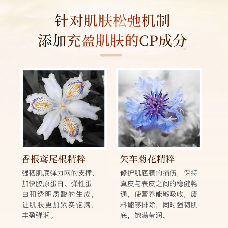 ELIXIR||エラスティック メッシュ ファーミング スキン エッセンス リフィル||40ml 5