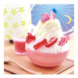 Shaved Ice Container (Set of 4)
