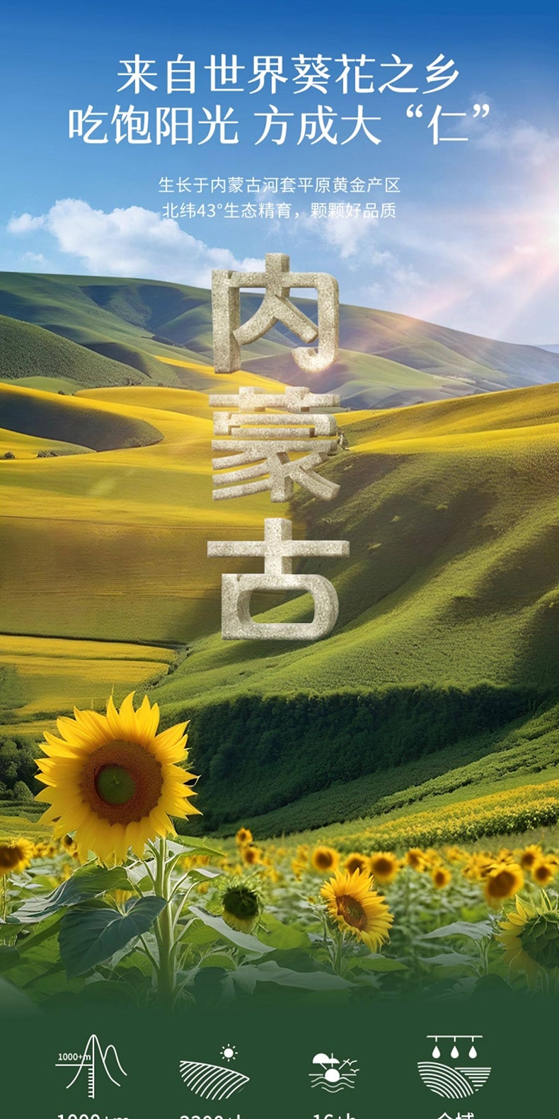 三胖蛋 【2罐超值装】原香怀旧瓜子炒货葵花籽休闲零食内蒙特产炒货葵花籽 108g*2【瓜子界爱马仕】坚果休闲零食过年聚会必备