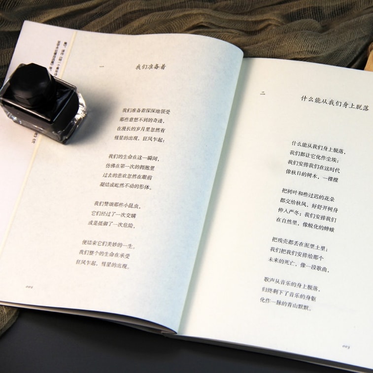 【中国直邮】I READING爱阅读   十四行集 3