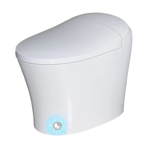 Smart Toilet Model T16 With Heated Bidet Dual Flush Toilet