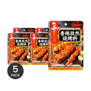 【超值裝】海底撈 筷手小廚 香辣孜然燒烤肉料 微辣 40g*5