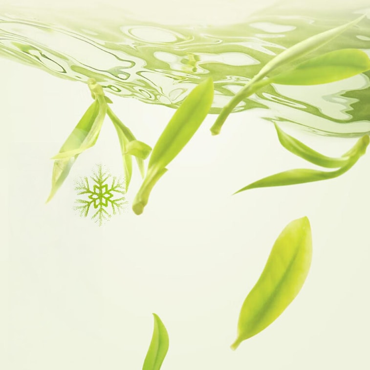 Green Tea 16.9 fl oz【0 Sugar 0 Fat  0 Calories】 4