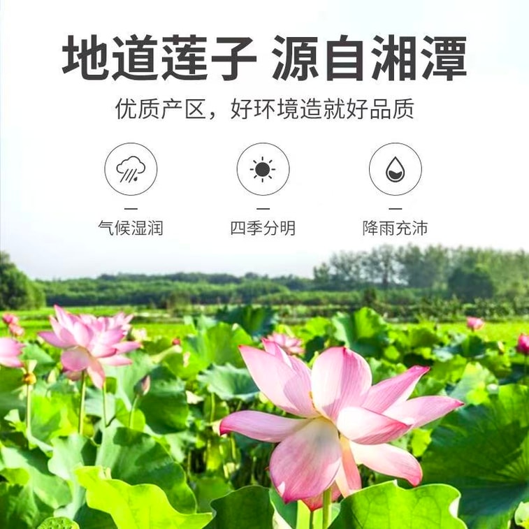 方家铺子 莲子 磨皮去芯莲子 湘潭白莲干货 250g【推荐搭配百合 银耳 桃胶 粉糯通透 香甜酥软】 4