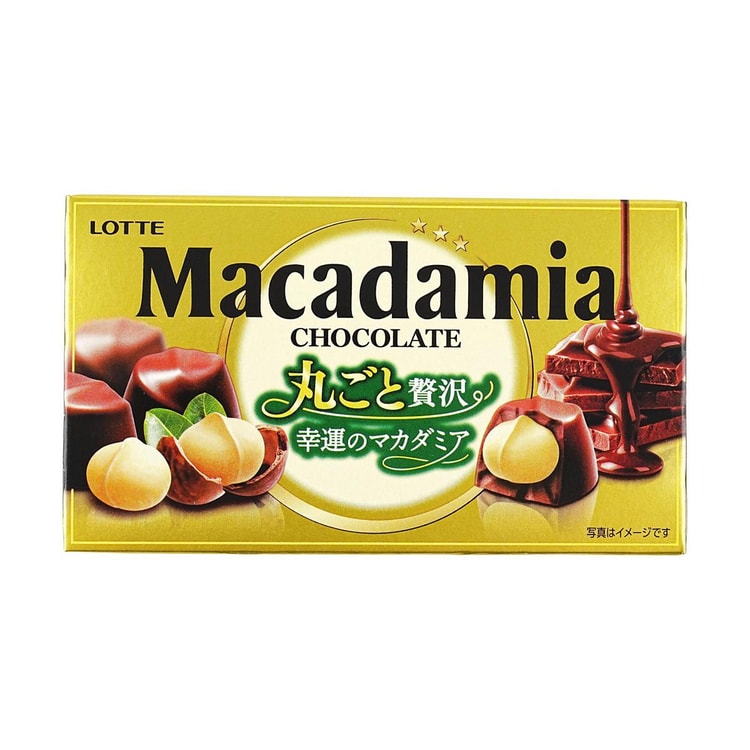 LOTTE Japan Macadamia Chocolate 9 pieces 2.36 oz - Yami.com