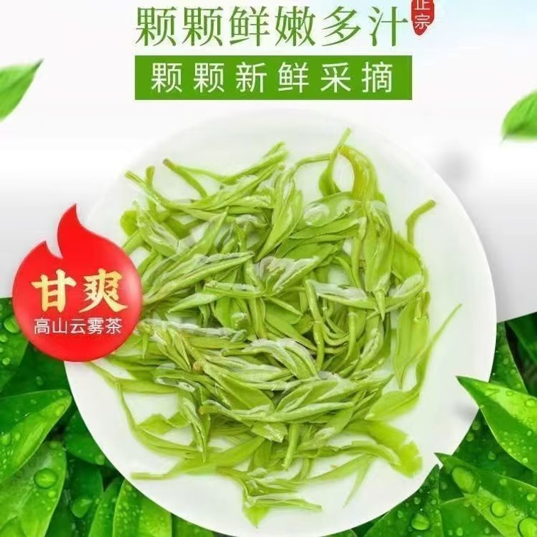 【中國直郵】 健康其他 新茶綠茶毛尖信陽茶葉2026雨前高檔禮盒裝春茶嫩葉濃香型250g*1 罐 5