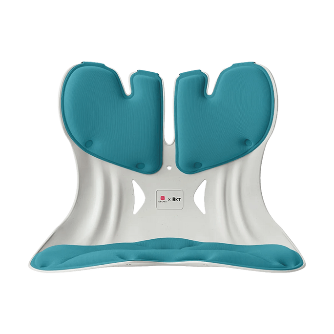 Ergonomic Lumbar Support Chair Oversized Nordic Blue Posture Corrector