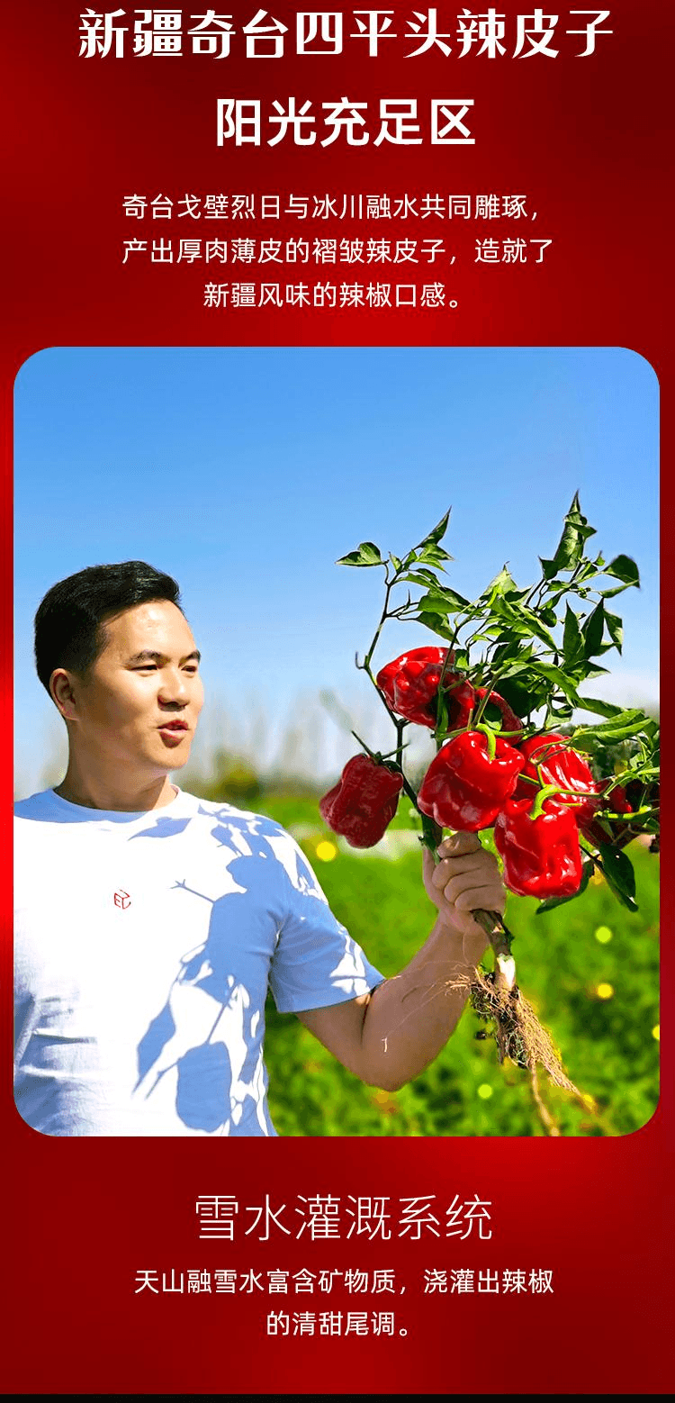 【中国直邮】 西尔丹 新疆拌饭辣椒酱下饭菜拌面香辣酱特产辣皮子酱雪莲辣椒丝220g*1瓶