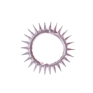 Sheep Eye Circle Fun Set Ring Lock Sperm Ring Barb Stimulating Adult Products Fun Men's Use