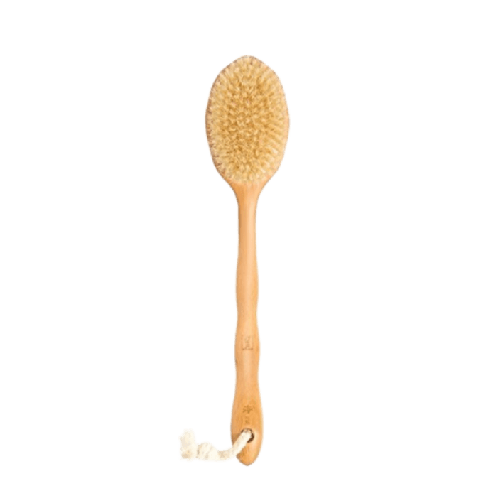 Hog Bristle Shower BrushBath BrushBody Dry BrushBack RubHog Bristle Bath 1Pc