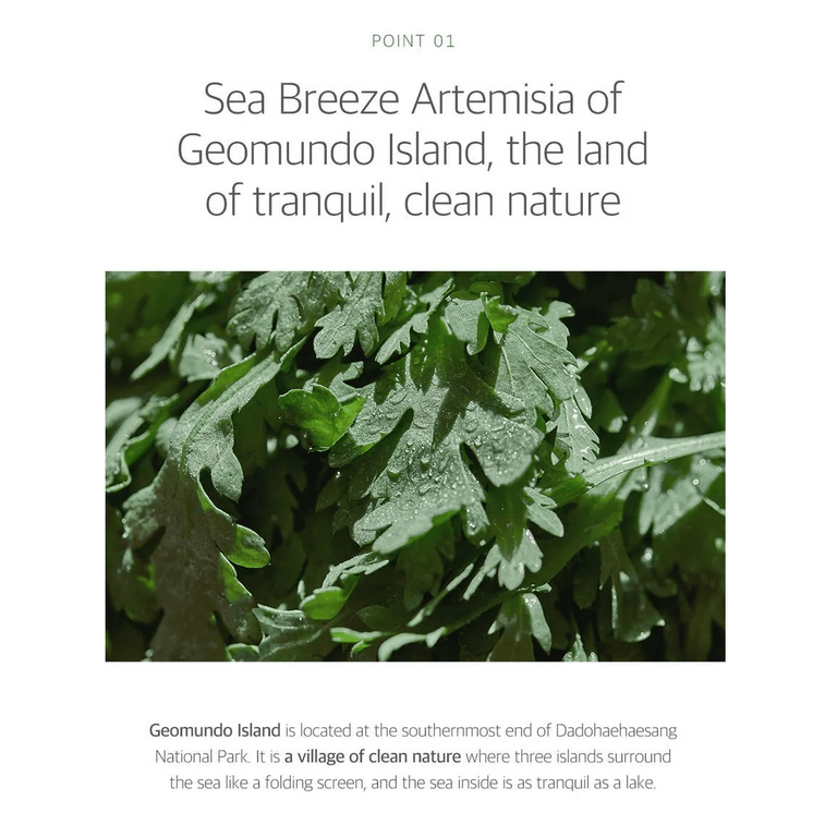 [미국 직배송] 라운드랩 쑥 수딩 클렌징 밀크 (150ml) (한국산) 4