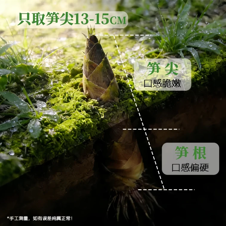 샤오샤오춘 손으로 껍질을 벗긴 죽순, 바로 드실 수 있습니다 (230g x 1팩) 4