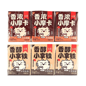 Rich Mini Mocha Coffee+Mellow Mini Latte Coffee, 40.58 fl oz【2 Flavors 2 Combo Packs】
