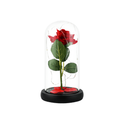 红色仿真玫瑰花美女与野兽玻璃礼盒 带小灯泡 520情人节礼物 