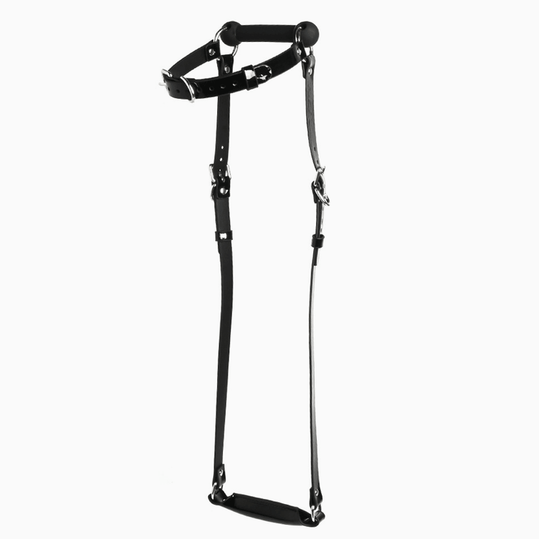 Black K9 Leash Bit Gag – Adjustable BDSM Toy for Couples Bondage Play, 1 Set 4