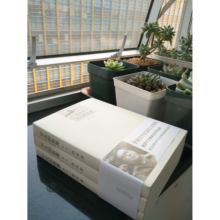 平凡的世界（套装共3册） 3