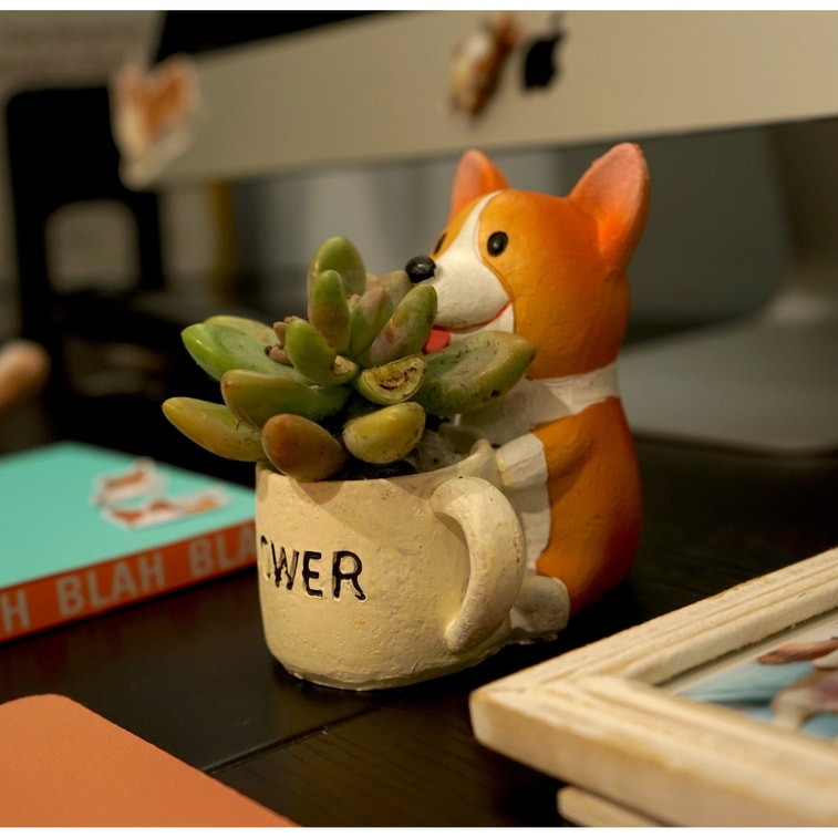 페토라마 코기 미니 화분 #물뿌리개 스타일# 5