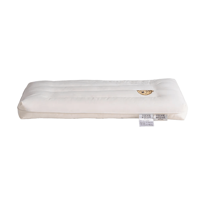 Teenie Weenie 全棉A 類大豆護頸枕 柔軟親膚透氣家用單人枕頭 藍色48*74cm