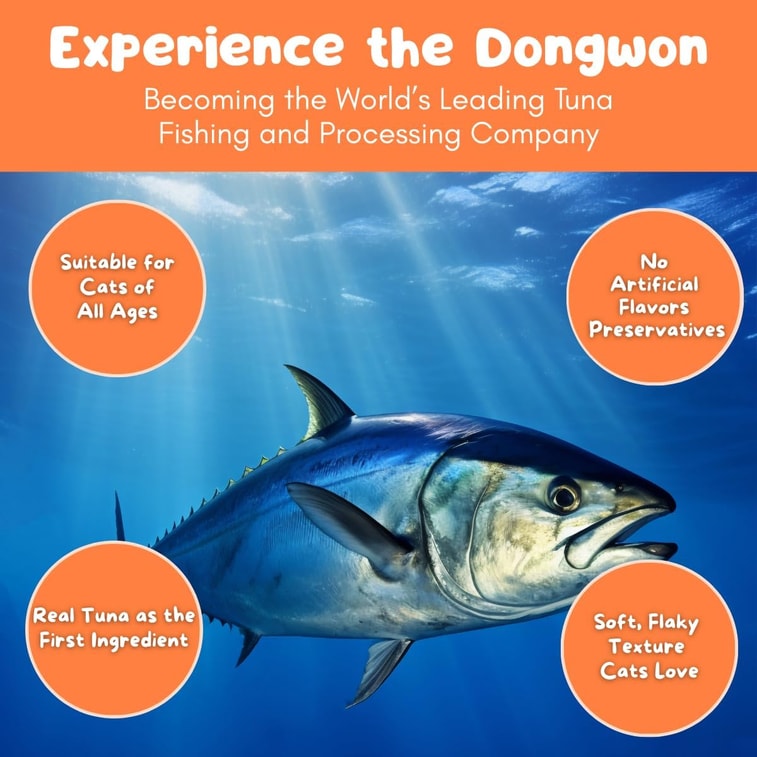 퀸즈캣앤뉴트리플랜(한국) - 순수 참치와 게살 레시피가 들어간 프리미엄 습식 사료, 5.64온스 캔 1개 4