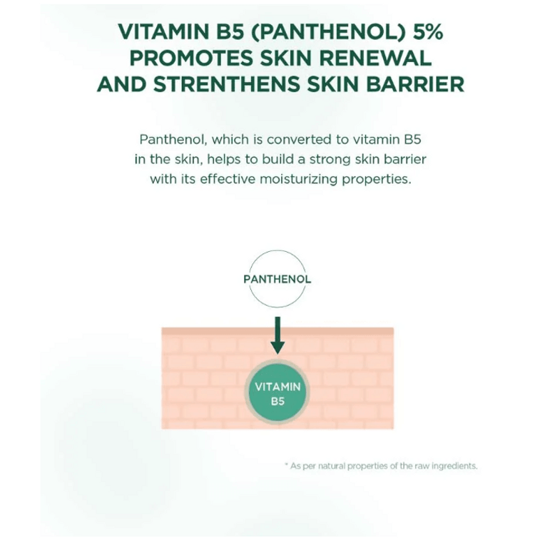 skin1004 Madagascar Centella Teatrica B5 Cream 75ml 7