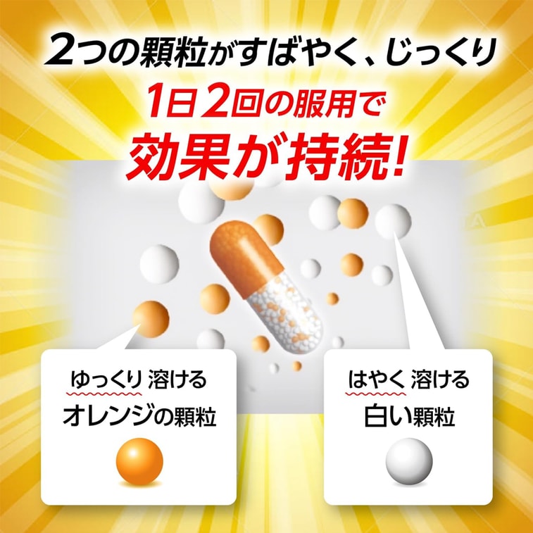 【日本直送】大正製薬 鼻炎カプセル（48カプセル） 花粉症に 3