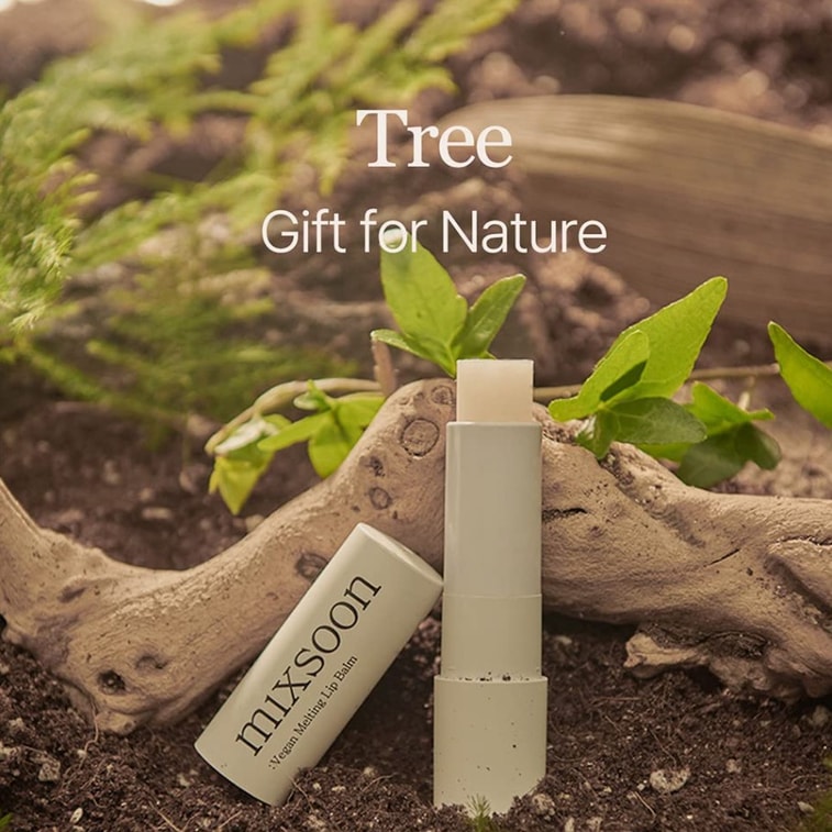 韓國 Mixsoon 素食潤唇膏 01透明色 4.1g 6