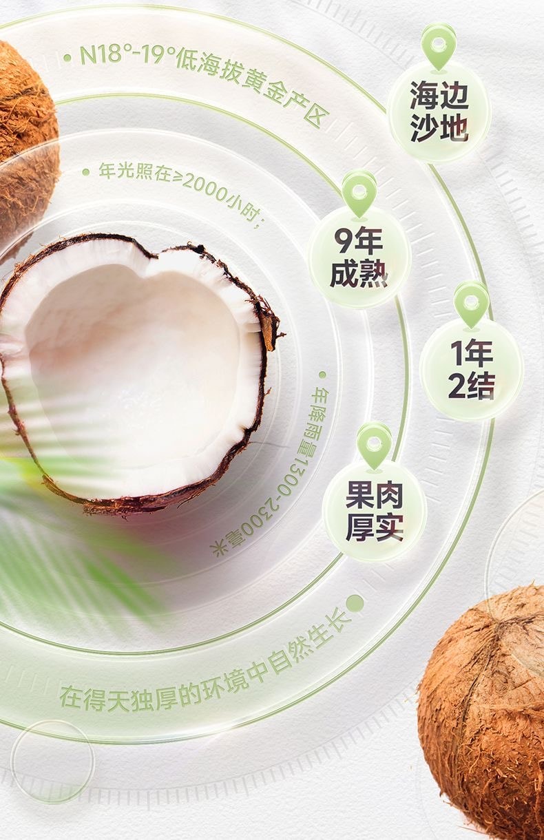 【中國直郵】 南國 海南特產冷萃純椰子粉308g