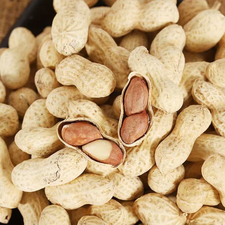 Boiled Peanuts Garlic Flavor 400g 3