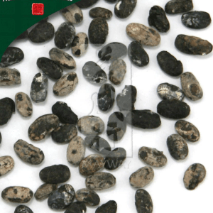 Dan Dou Chi, Unsulfured Glycine Max Seed - Prepared 500 G/bag