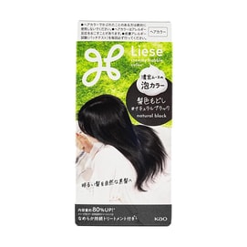 Liese Upgraded Easy Foam Hair Color, #Natural Black