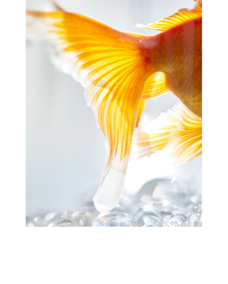 OLAYKS 鱼缸新款小型桌面办公便携式户外打氧无线注氧金鱼缸