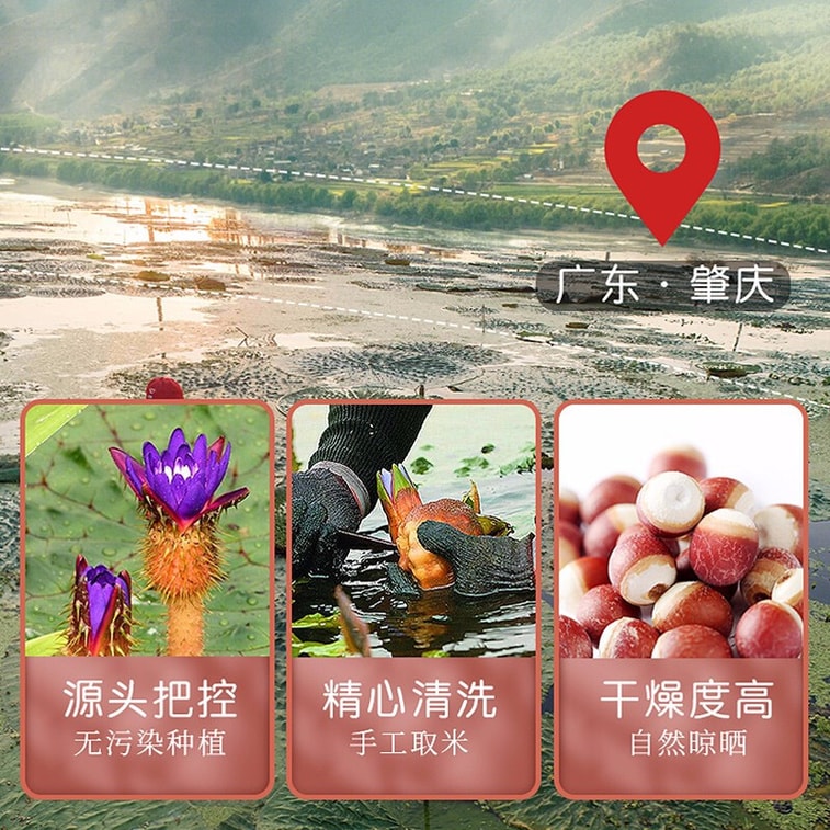 【中国直邮】福东海  芡实大颗粒鸡头米 鸡头果 红皮芡实仁五谷杂粮煮粥煲汤料  200g/罐 4