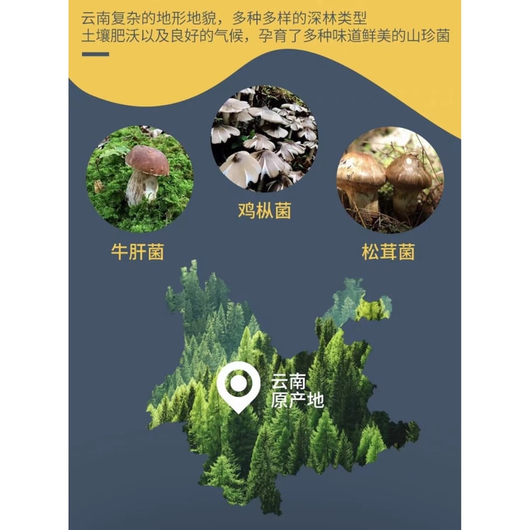 紅星野生珍味ミックスきのこパック（シロキクラゲ、ヤマドリタケ、マツタケ各2袋） すぐに食べられるしいたけスナック、125g、雲南特産、すぐに食べられるしいたけ、ご飯に最適、6個パック 5