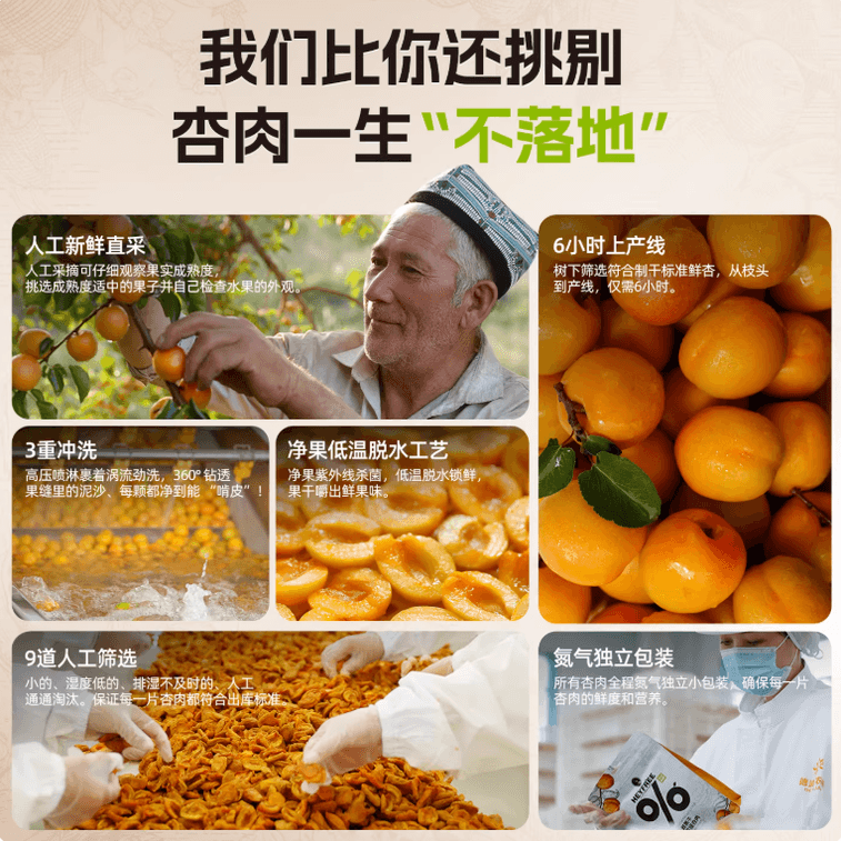 Dried Fruit Semaiti Seedless Apricot Dried Developed by Xinjiang Academy of Agricultural Sciences Sugar-free Natural Fruit Snack Green Food Individual Pack Office Snack Afternoon Tea Companion 70g 4