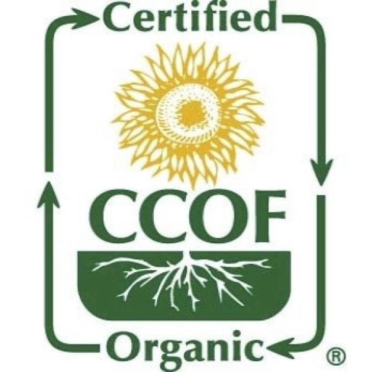 McCabe 有机绿豆发芽种子 1 磅 3