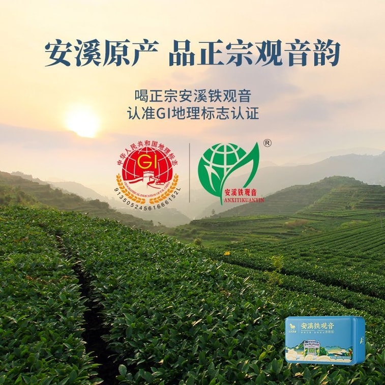 【中国直送】八馬茶業 福建省安渓鉄観音茶 爽やかな蘭の香り、美味しい香り、98g（7g×14煎）個人消費用 6