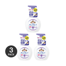 【お徳用パック】日本製 抗菌 家庭用除菌泡ハンドソープ お子様にも安心 #フローラルの香り 250ml*3