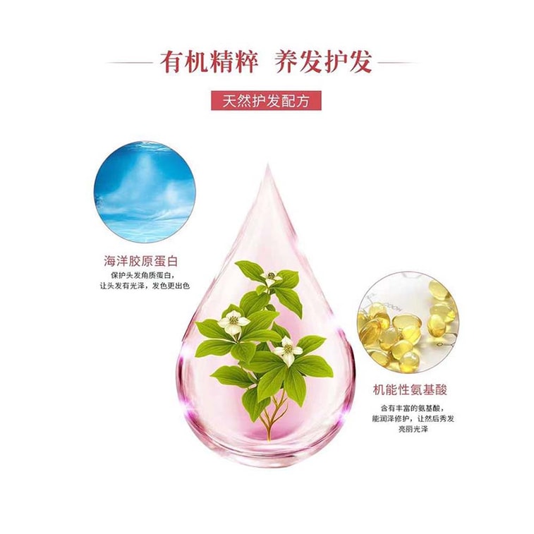 【Expédition directe du Japon】 HOYU Japon CIELO EX Coloration capillaire Végétale pour cheveux gris Crème colorante à pression N°3 Brun clair brillant 80g 3