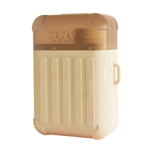 Suitcase Ear Hole Cleaning Ear Thread Anti-clogging And Deodorizing 240 Pieces - Mint Flavor + Cleaning Liquid 1PC