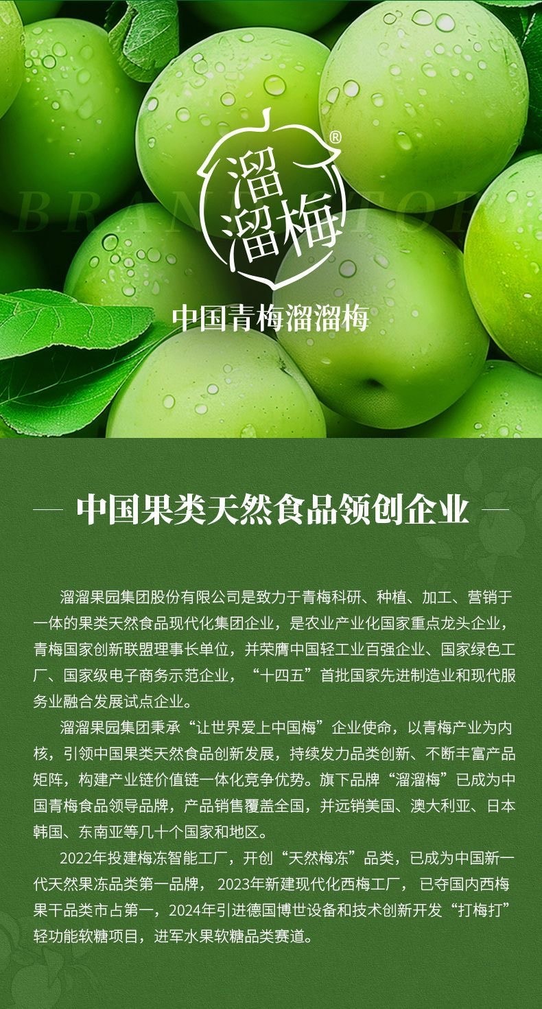 溜溜梅 陈皮梅条80g果脯果干梅肉酸甜开味无核办公室解馋休闲零食